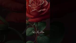 Download lagu Rasool Kareem ki apni umat sy muhbat \#viralvideo #explore @ArbiclanguageCrouse mp3