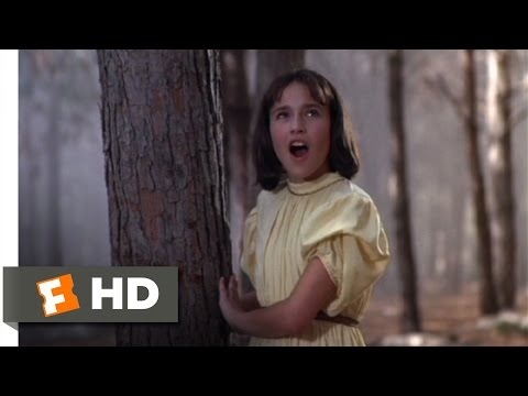 Red Riding Hood (1/10) Movie CLIP - Lost in the Woods (1989) HD