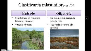 Apele subterane, mlastinile,ghețarii 