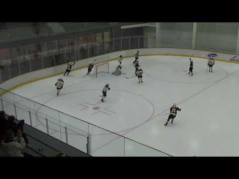 Naisten Liiga: Maalikooste Ilves- Blues 18.11. 2017