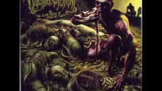 Guttural Engorgement - The Slow Decay of Infested Flesh