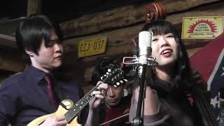 Alecia Nugent - Too good to be true Cover by Fiddlin' Duelin'