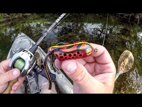 New Frogs, New Lake, Lots Of Fish!