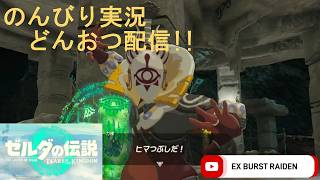 どんおつ配信「ゼルダの伝説 ティアーズオブザキングダム」30
