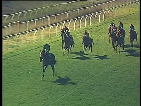 Galoppo 20/01/2018 - 6ª corsa