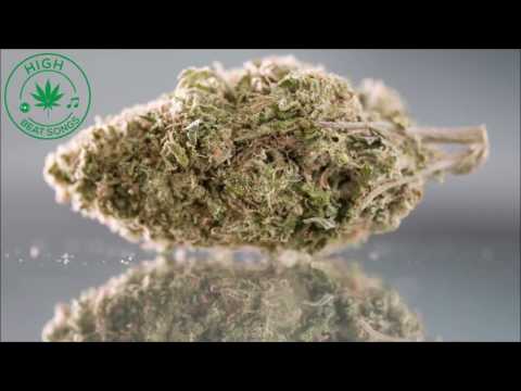 Rebelution - Inhale Exhale feat. Protoje