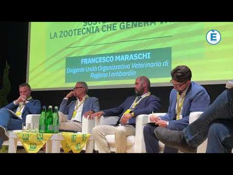 DIRETTA STADIO - LECCO vs UNION BRESCIA