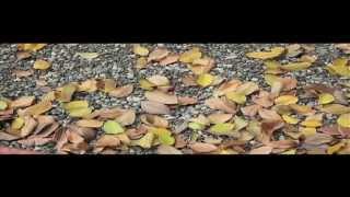 Planet Asia x DirtyDiggs - Tiger Stripes ft  Purple Kloud (official video)