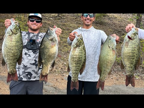 BIGGEST Smallmouth Tournament bag EVER weighed!! (34.68) 8.03 big fish!