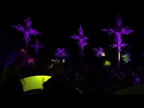 Simina Grigoriu - Shark Island (Paul Kalkbrenner Remix) @ The Place Festival Zachun