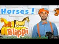 Learning About Horses With Blippi Animals For Kids Educational Videos For Children
