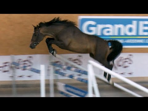 115 - KITOKO DU BUST