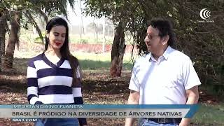 Miniatura do vídeo