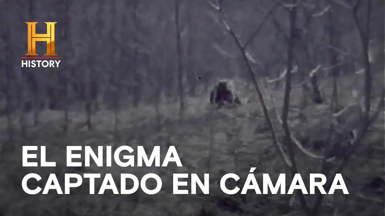 EL REGISTRO IMPOSIBLE - Monstruos Legendarios