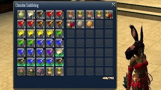 How to Fix a DISASTER Inventory (bag cleanup guide)