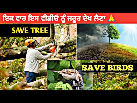 Save The Nature | Save the Birds | Save him | Sukhraj vlogs | ਇਕ ਵਾਰ ਇਸ ਵੀਡੀਓ ਨੂੰ ਦੇਖ ਲੈਣਾ ਜੀ 🙏