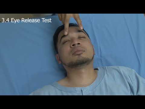 The Neurological Exam of a Comatose Patient: An Essential Practical Guide