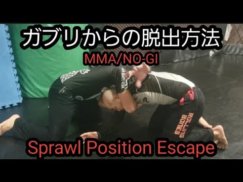 ガブリからの脱出方法 総合格闘技 ノーギ Escape Sprawl Position.