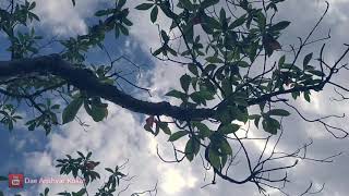 Download lagu KERTAS - Kekasih Yang Tak Dianggap (Cover by Tereza) mp3