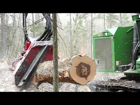 Waratah - Customer Success Story