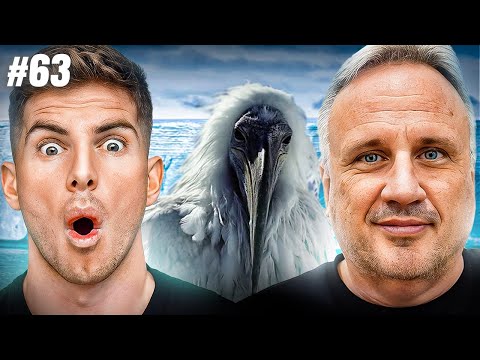 Worldcast #63 | Karles Toràh - Viaje Antártida, Sociedad Secreta, Simulación, Seres Humanoides...