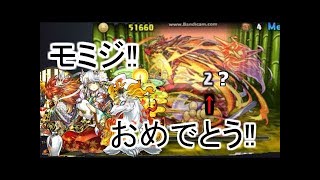【パズドラ実況】　１１月のクエストダンジョン　極限大和ラッシュ　転生ラクシュミー　ノーコン　（ソロ）