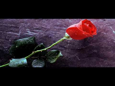 PEDJA USKOKOVIC - SLOBODAN STRELAC (Official Video 2016) hd