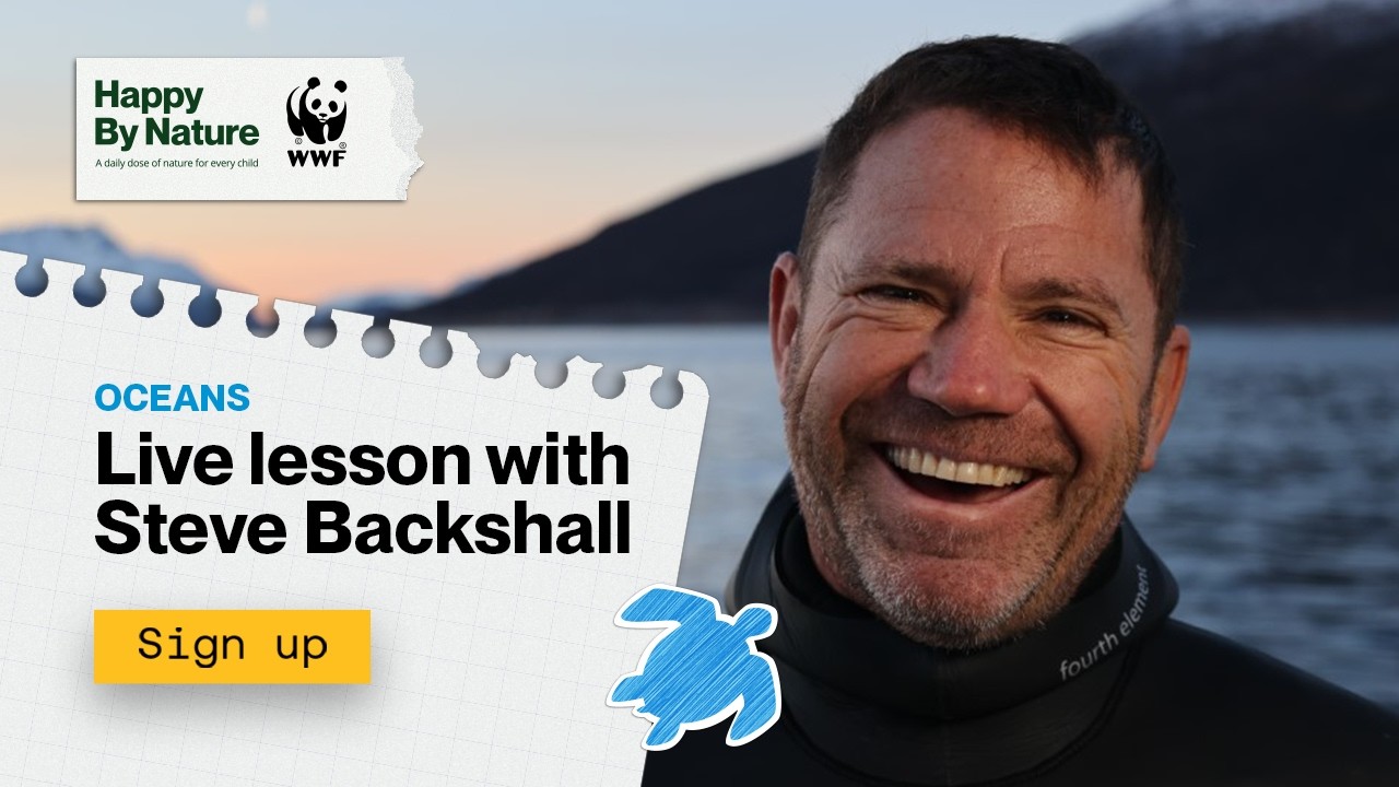 Oceans Live Lesson With Steve Backshall | Happy By Nature