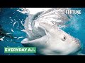 How A.I. Is Being Used To Protect Whale Sharks From Extinction | Everyday A.I.