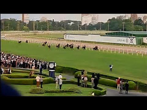 Gran Premio Carlos Pellegrini (G1) 2025.-Ganador Obataye (Brasil), metros finales.-