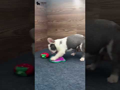 Video 2