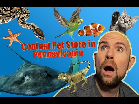 Pet Stores In Monroeville Pa
