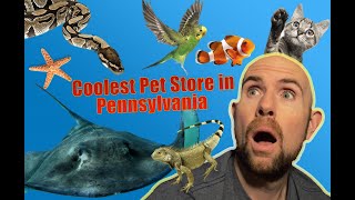 The Coolest Pet Store in Pennsylvania!