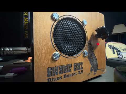 Swamp Rat Cigar Box Amp - Blues Buster 2.5