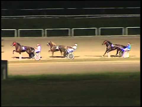 Trotto 04/09/2014 - 1° prova di riqualifica