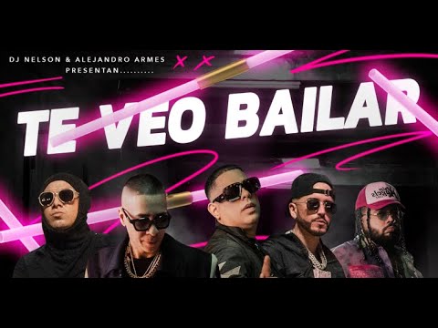DJ Nelson x Wisin & Yandel x Baby Rasta & Gringo  - Te Veo Bailar (Arold Hype Edit)