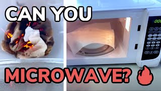 Can You Microwave Paper Towels? Can They Set on Fire?!