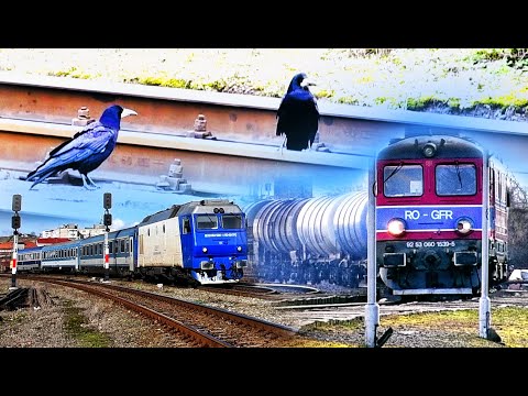 The IR 367 Train Budapest-Oradea-Brașov, Crows & GFR Freigt Train in Oradea EST-Romania-11.02.2020