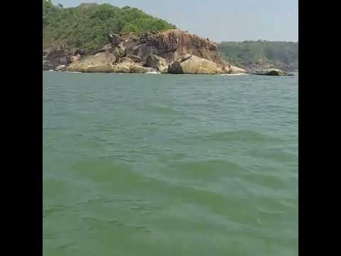 Dolphins in Gokarna Beach ll Boat riding in Gokarna Beach ⛱️ ll Shirsha h ll #shorts