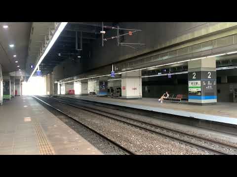 Linha 308, Linha Sul/Linha Pingtung, nova estação Zuoying, trem inclinado, trem tipo TEMU2000, 2029/2030, estação Puyu Menu, parada final, nova estação Zuoying