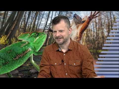 Spontaniczna pomoc humanitarna - Migała | U Jaoka, odc. 1