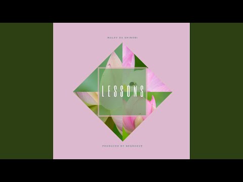 Lessons (feat. Negroove)