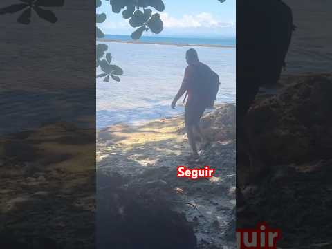 PARAISO! ! Isla Uvita Puerto Limón 🇨🇷#costarica #viral #viralvideo #fyp #travel #turismo