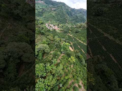 Zona cafetera la Arboledad Ciudad Bolívar Antioquia