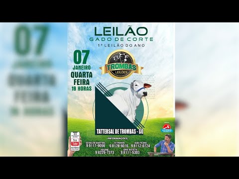 1º LEILÃO 2026 TROMBAS LEILÕES - TROMBAS GOIAS 07/ 01/ 2026