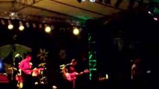 zz top goes to egypt into flowers live green man festival