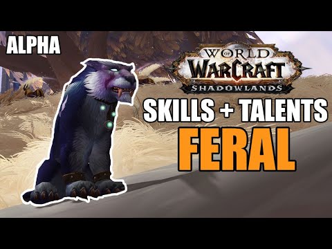 🐈ALPHA: FERAL DRUID SKILLS + TALENTS | ALPHA SHADOWLANDS