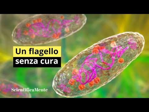 La Storia della Peste Nera: Origini, Diffusione e Conseguenze