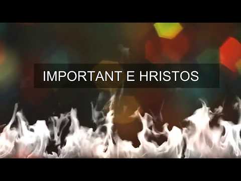 Cum sa reusesti sa fii fericit - Calin Mocan