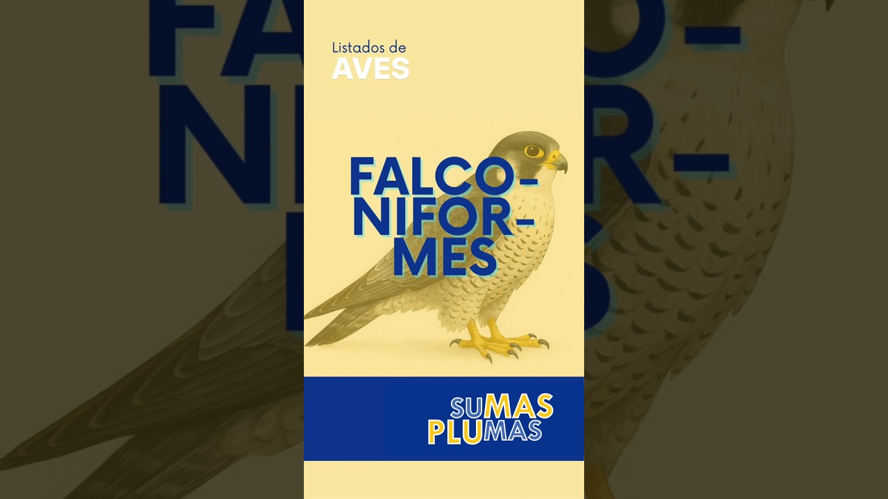 Falconiformes